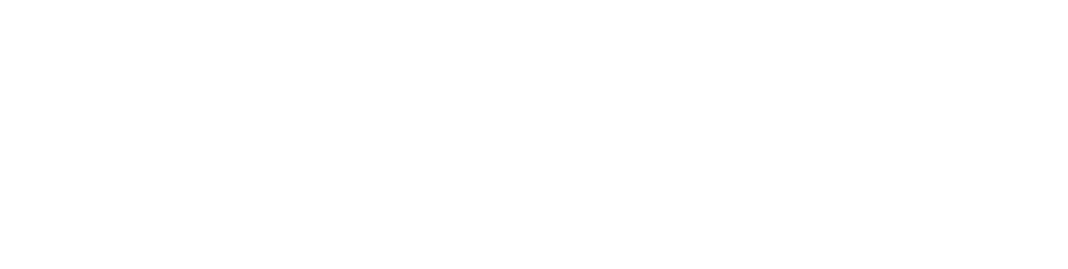                                          “Tess” *Retired  Tess has passed on as well. we loved her dearly. 
                                             Tess is retired now and living a wonderful life in Arizona
OFA Hips: Excellent, Elbows: Normal, Optigen A, EIC: Clear by Parentage, HNPK Clear,  Tested Negative for Dilute Gene and  Negative for Long Coat Gene. Heart Echo Normal, Full Dentition, Copper Test Clear.

Tess has picked up 9 points with 2 majors for her AKC Championship. She is a super great girl with a lovely temperament.  She produced beautiful puppies . She is Owned and loved by Allen and Marilou Garfinkle, and Bred by and Co-owned by Spirithawk Labradors.Tess passed away in 2022