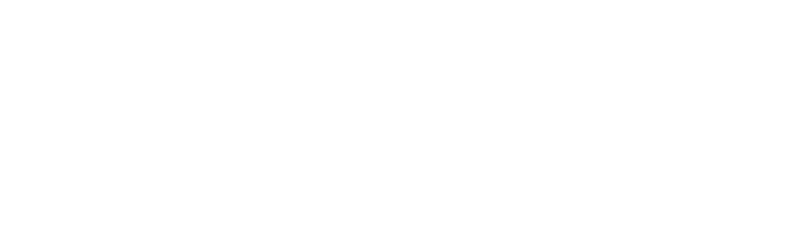       Jubilee :  Spirithawk’s Fullmoon Rising X   Schoenfield’s Willow’O Wisp                                                               

                                                 DOB: 3/23/2020

OFA: Hips Excellent/Elbows Normal, HNPK, clear by parentage. EIC, Copper Toxosis clear by testing, carries a protective gene. She has also had the complete disease and color testing from Orivet testing labs with clear on everything. And clear by parentage of all other DNA tests. This little girl is smart!!  She is a daughter of our Riser and her damn had many Ch/MH in her pedigree and is just as pretty. 
