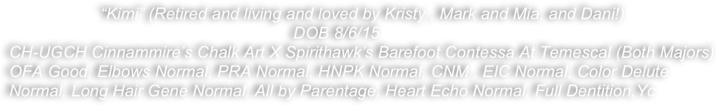                     “Kimi” (Retired and living and loved by Kristy , Mark and Mia, and Dani!)
                                                              DOB 8/6/15
CH-UGCH Cinnammire’s Chalk Art X Spirithawk’s Barefoot Contessa At Temescal (Both Majors)
OFA Good, Elbows Normal, PRA Normal, HNPK Normal, CNM , EIC Normal, Color Delute Normal, Long Hair Gene Normal, All by Parentage, Heart Echo Normal. Full Dentition,Yc 