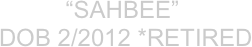           “Sahbee”
DOB 2/2012 *Retired