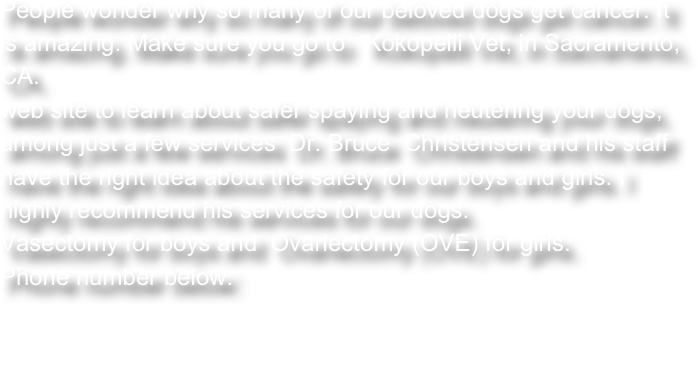 People wonder why so many of our beloved dogs get cancer. It is amazing. Make sure you go to   Kokopelli Vet, in Sacramento, CA.   
web site to learn about safer spaying and neutering your dogs, among just a few services  Dr. Bruce  Christensen and his staff  have the right idea about the safety for our boys and girls. I highly recommend his services for our dogs. 
Vasectomy for boys and  Ovariectomy (OVE) for girls.
Phone number below:

(916) 683-4029      https://kokopellivet.net/contact/
